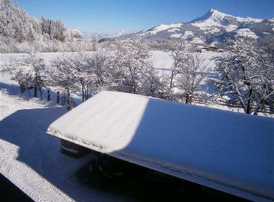 Winter paradise around the Hanserareal