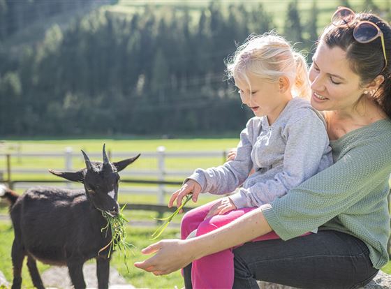 ©Wisthaler_Kinderhotel-Felben-Tiere-02