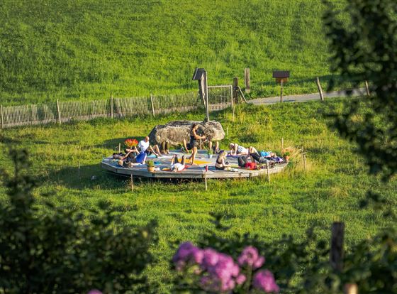 Eine Gruppe von Menschen liegt entspannt auf einer Plattform inmitten einer grünen Wiese. Im Hintergrund sind ein paar Bäume und eine umgebende Landschaft sichtbar.