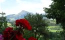 Aussicht Balkon