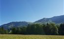 Eine weite Wiese mit grünen Gräsern und Bäumen in der Landschaft. Im Hintergrund erheben sich majestätische Berge unter einem klaren, blauen Himmel.