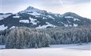 Eine verschneite Berglandschaft mit einem hohen Gipfel im Hintergrund. Dichte Nadelbäume bedecken den Vordergrund und die Wiesen sind mit Schnee bedeckt.