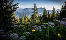 berghaus_social-83