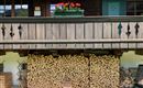 IMG_1904