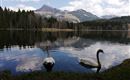 IMG_20200412_142736