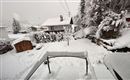Eine verschneite Landschaft mit einem Garten und weißen, schneebedeckten Bäumen. Im Hintergrund sind einige Häuser sichtbar, während der Himmel grau und bewölkt ist.