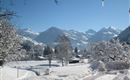 Eine verschneite Winterlandschaft mit Bergen im Hintergrund. Der Himmel ist klar und blau, während die Bäume mit Schnee bedeckt sind.