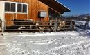 Animals enjoy / fresh / cold winter air