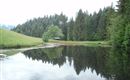 unser herrlicher Teich