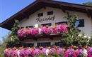 Unsere Blumenpracht