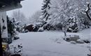 Eine verschneite Gartenlandschaft mit schneebedeckten Bäumen und Sträuchern. Im Vordergrund sind Steine und ein verzierter Pflanztopf sichtbar.