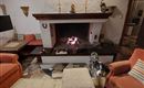 Ein gemütliches Wohnzimmer mit einem offenen Kamin und bequemen Sofas. Ein Hund steht in der Mitte des Raumes und der Boden ist mit einem Teppich bedeckt.