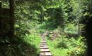 Wandern