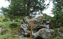 Wanderweg